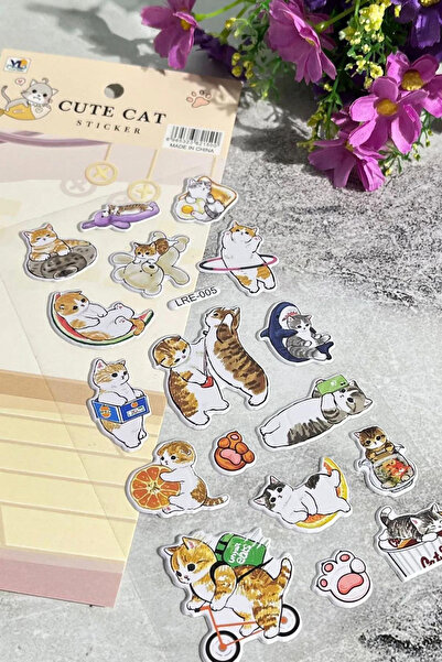 NaSaDAN Sevimli Kediler 3d Renkli Sticker Çıkartma Etiket