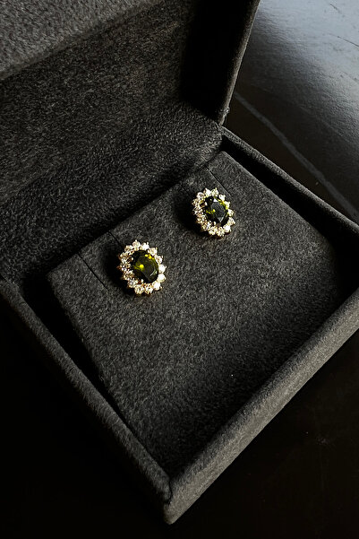 Pinart Zirkon Taş Çivili Şık Kadın Küpe 0001213