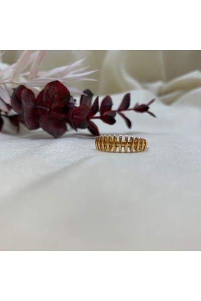 Piaro Collection Ring Strip Model
