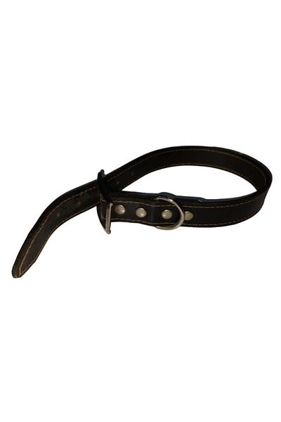 Lovely Leather Adjustable Dog Neck Leash Green Suitable for 5-17 Kg Dogs