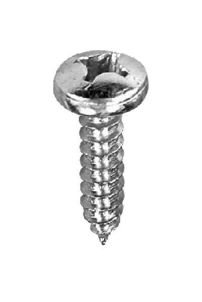 ALETÇANTAM Silindir Başlı Küçük Vida Mini Sac Vidası Ysb 2.9x9.5 -500 Adet