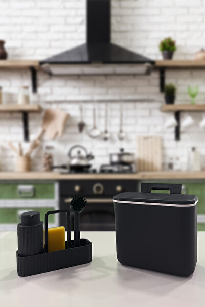 BİLTAŞ PLASTİK 2'li Bulaşık Seti Vailo Ve 8 Lt Mutfak Tezgah Üstü Ve Dolap As...