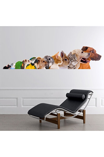 Modatools Pet Boyut Tablosu Köpek Kedi Kuş Dekoratif Duvar Sticker Çıkartması Yatak Çocuk Odası