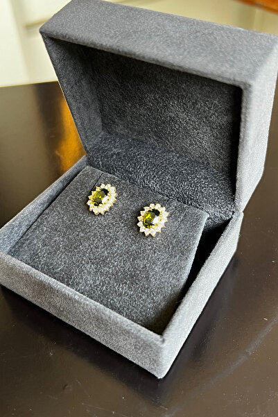 Pinart Zirkon Taş Çivili Şık Kadın Küpe 0001213