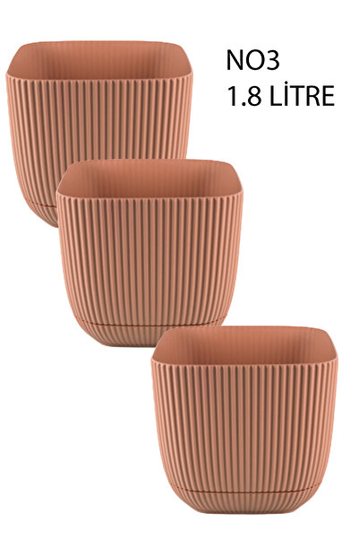 TEMMUZ HOME 3 Adet 1.8 Kare Mercan Kare Saksı Kaktüs Sukulent Çiçek ve Bitki ...