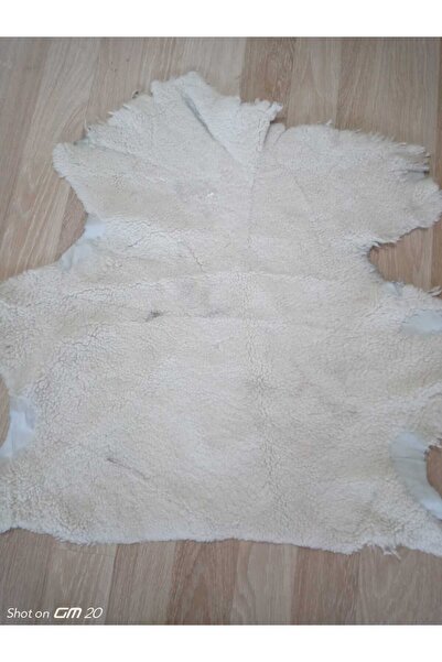 hoaryage NATUREL HAKİKİ KUZU POSTU , POSTEKİ YOLLUK, DEKORATİF ÜRÜN