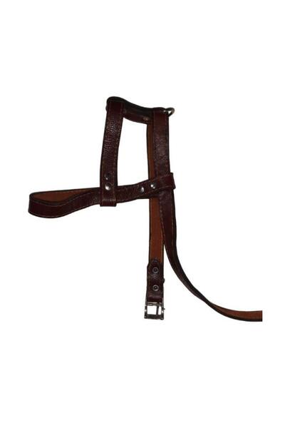 Lovely Hakiki Deri Ayarlanır Köpek Göğüs Tasması 2,5cm 20-30Kg Köpeklere KOYU KAHVE