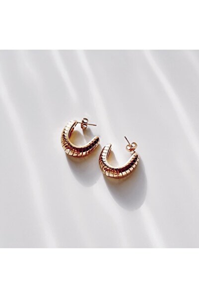 Boise Atelier Teinty Steel Earring | Çelik Küpe