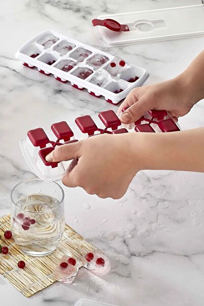 LUCKYHOMES 2 Adet 12'li Yapışmaz Silikon Bas Çıkar Buzluk Buz Kalıbı, Basmati...