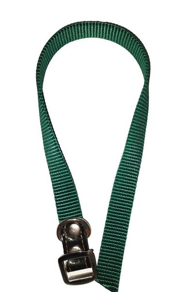 Lovely Dog Neck Leash 1.5cm-40cm GREEN