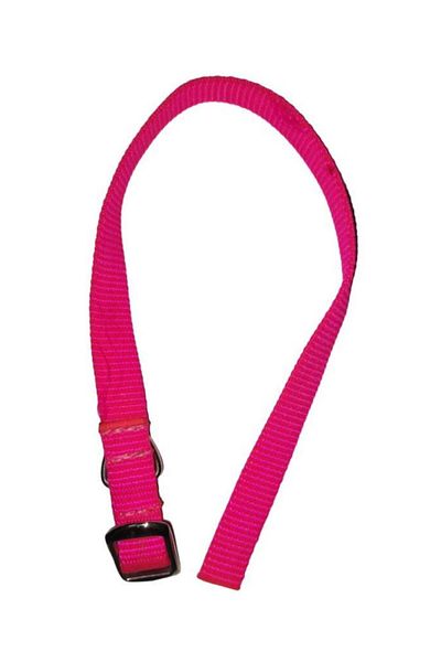 Lovely Dog Neck Leash 1.5cm-40cm PINK
