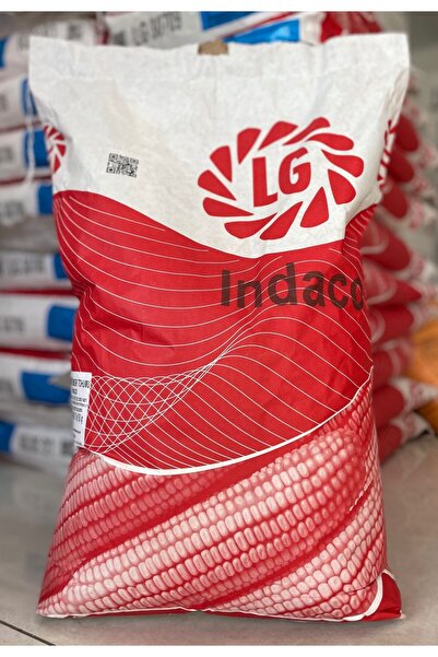 LG MISIR TOHUMU INDACO