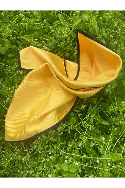 Alsamkapsam Πανί Γυαλιού και Καθρέφτη Μικροϊνών Γενικής Χρήσης Πανί Καθαρισμο...