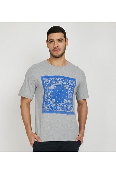 Levi's LE SS TEE Men's Gray T-Shirt