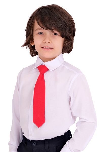Merdia Boy's Plain White Shirt Tie Set of 2