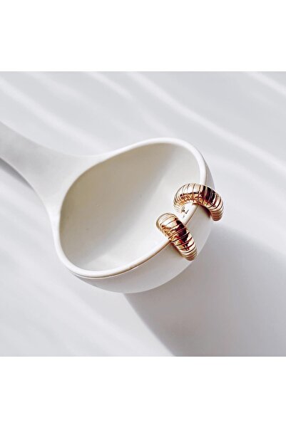 Boise Atelier Teinty Steel Earring | Çelik Küpe