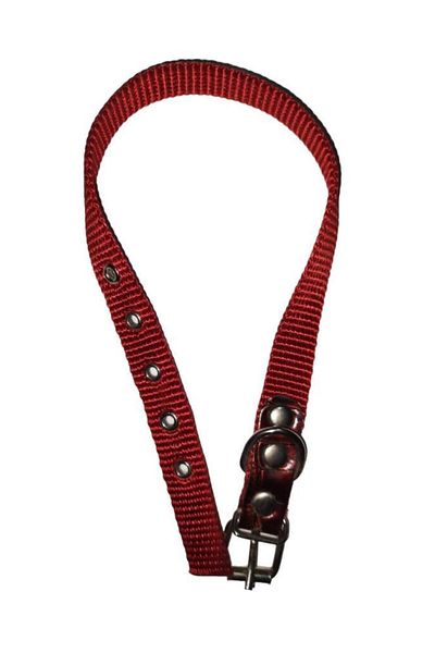 Lovely Dog Neck Leash 1.5cm-40cm RED