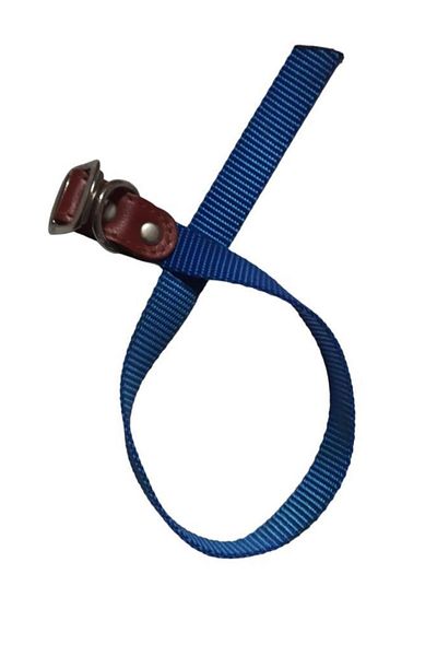 Lovely Dog Neck Leash 1.5cm-40cm BLUE