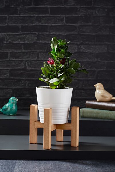 melik's أصيص زهور خشبي تريليا - حامل وقاعدة مقاس 16 × 16 سم (الصنبور غير متضمن)