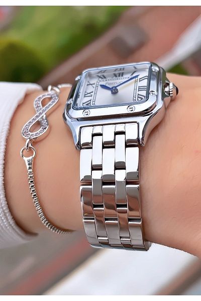 Ferrucci Ferruci Brand Silver Color Steel Cord Men's Wristwatch - Bracelet