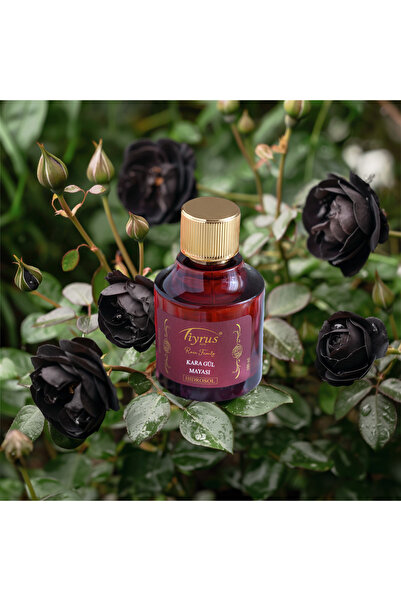 Tiyrus Kara Gül Mayası Rose Extra 100 ml