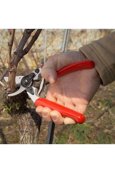 Felco 7 Right By-pass Pruning Shears 21 Cm