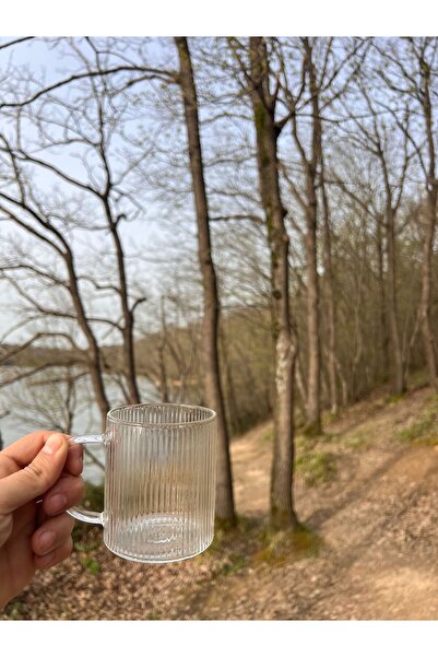 Yeni Tasarım Çizgili  Kulplu 130 Ml Cam Bardak İkili