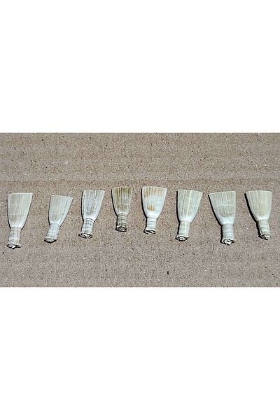 Unosell Zurna Cane - 8 Pieces Reed, for Zurna Zorna Mizmar