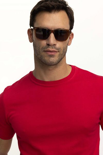 Tudors Men's Slim Fit Slim Fit Cotton Knitted Knitwear Pomegranate Color Crew Neck T-Shirt