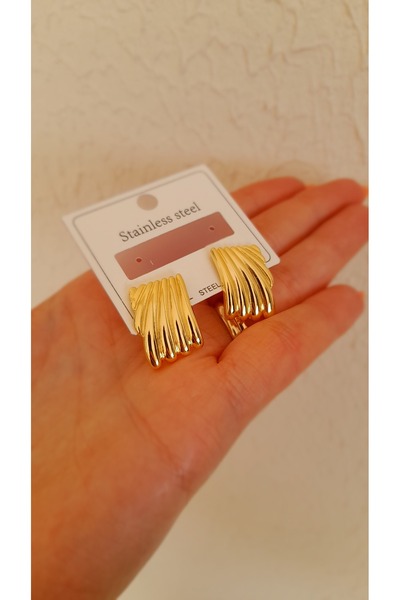 Opia JEWELRY Sayina Accessory Steel Plate Earrings