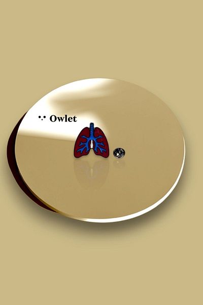 Owlet Medikal Βελόνα για γιακά πνευμονικής καρφίτσας
