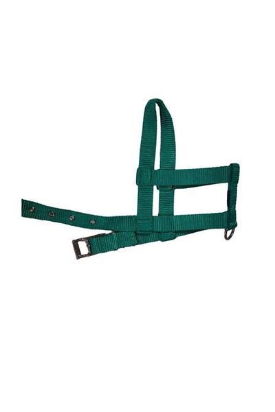 Lovely Adjustable Dog Breast Collar 2cm 5-17 Kg LIGHT GREEN for Dogs