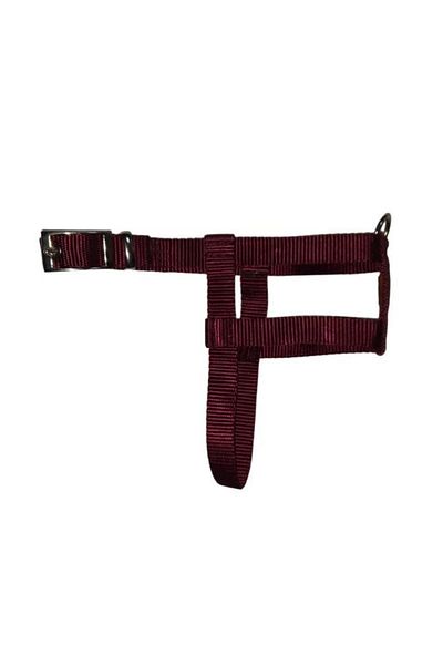 Lovely Adjustable Dog Breast Collar 2cm 5-17 Kg WITH PENDANT FOR Dogs