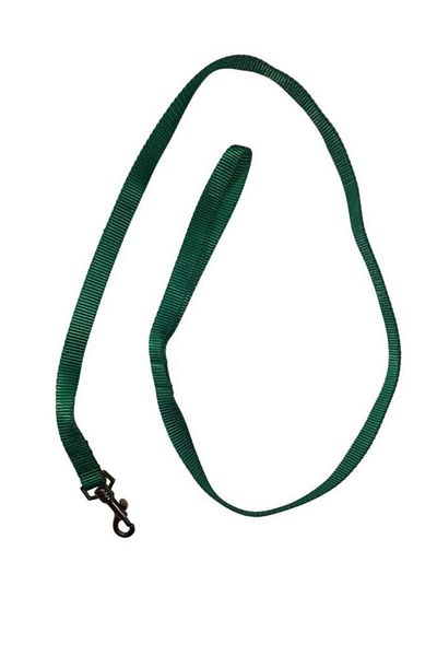 Lovely Cat Dog Strip Walking Strap Light Green 1.5cm - 120cm