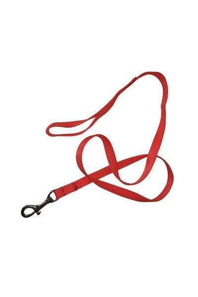 Lovely Cat Dog Ribbon Walking Strap Orange 1.5cm - 120cm