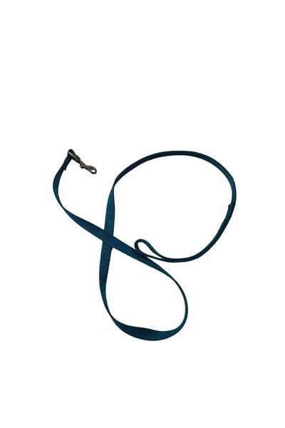 Lovely Cat Dog Ribbon Walking Strap Turquoise 1.5cm - 120cm