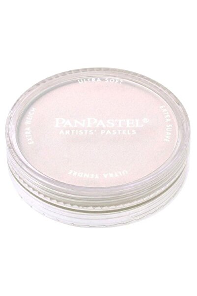 Panpastel طلاء فني فائق النعومة باللون الرمادي Paynes 28408