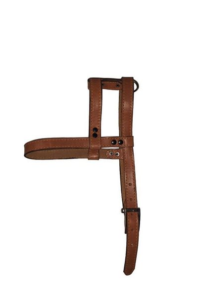 Lovely Genuine Leather Adjustable Dog Chest Collar 2cm 5-17Kg COFFEE To Dogs