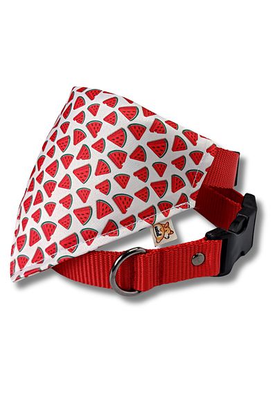 UTDpet Watermelon Dog Collar with Scarf