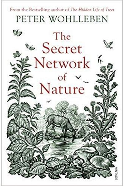 Dokuz Yayınları Nature's Secret Network - The Delicate Balance Between All Living Things