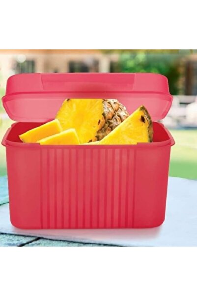 Tupperware Mega Kutu Saklama Kabı Pembe 7.2 lt
