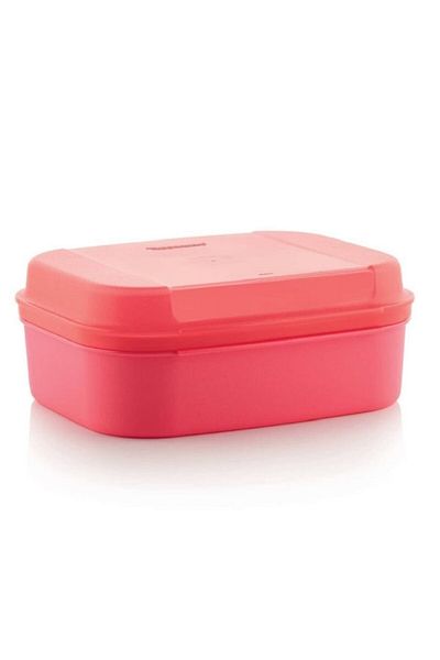 Tupperware Storage Container F20 Cookie Pastry Nutrition Container Midi Hsgl Pink