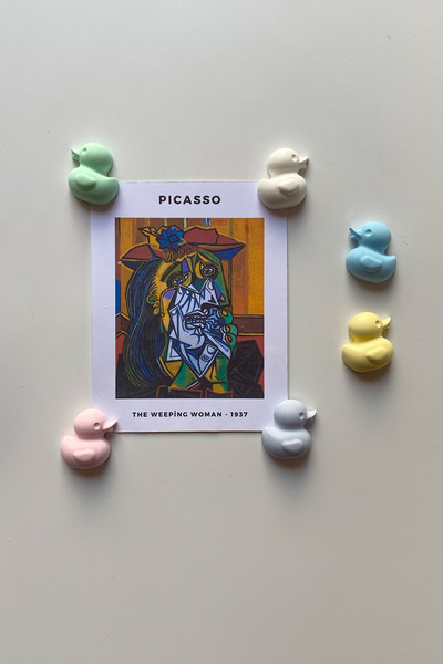 sin istanbul 6'lı Ördek Buzdolabı Magneti Renkli