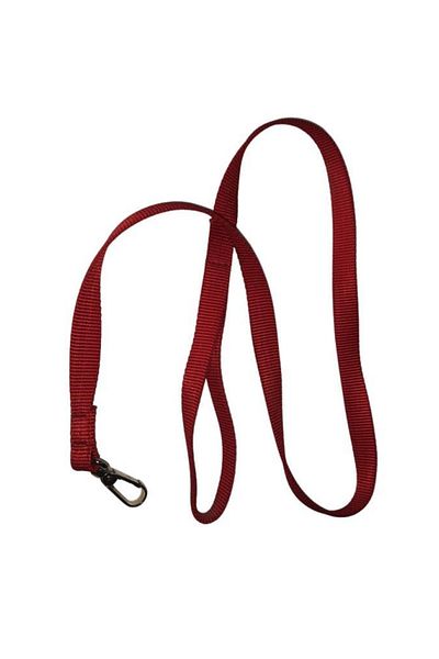 Lovely Cat Dog Ribbon Walking Strap Red 1.5cm - 120cm