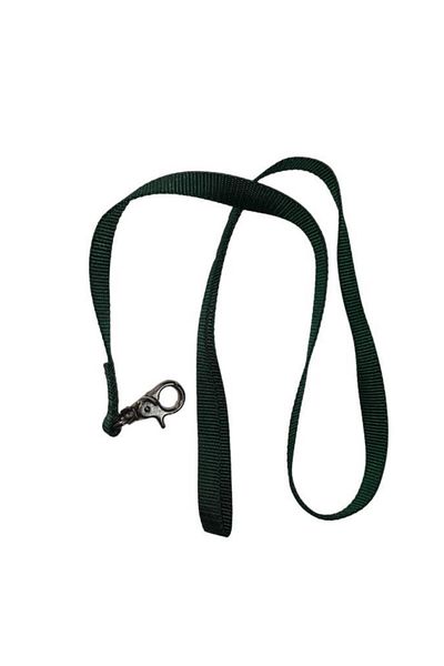 Lovely Cat Dog Ribbon Walking Strap Green 1.5cm - 120cm