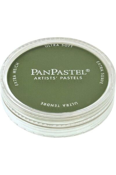 Panpastel Ultra Soft Artist Pastel Paint Chromium Oxide Green Shade 26603