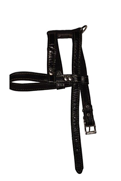 Lovely Hakiki Deri Ayarlanır Köpek Göğüs Tasması 2cm 5-17Kg Köpeklere SİYAH