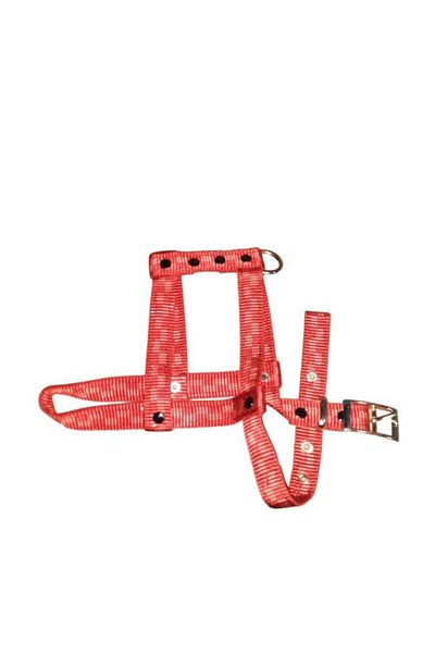 Lovely Adjustable Dog Breast Collar 2cm 5-17 Kg RED for Dogs