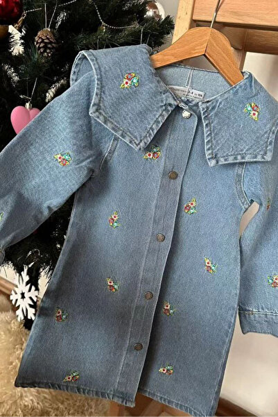 Teeny Weeny Kids Girl's Floral Embroidered Denim Dress