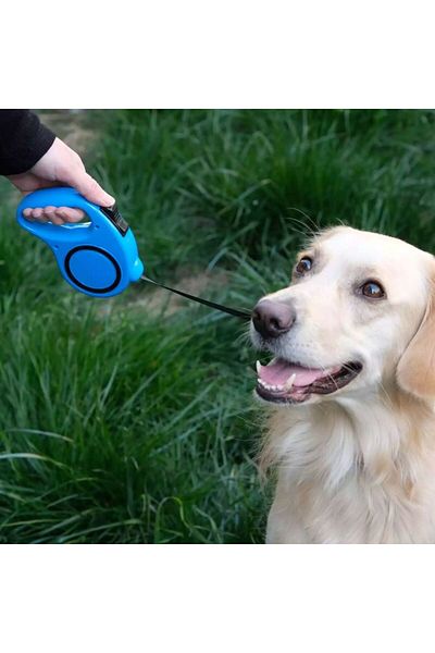 CARNIVAL LAND cat dog walking collar with automatic roller 5 meters 1 piece